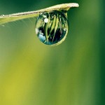 water drops photography