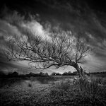 black and whtie photography