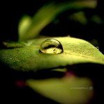photography roundup