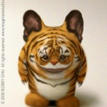 Creatures Illustrations