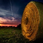 Sunset Photography