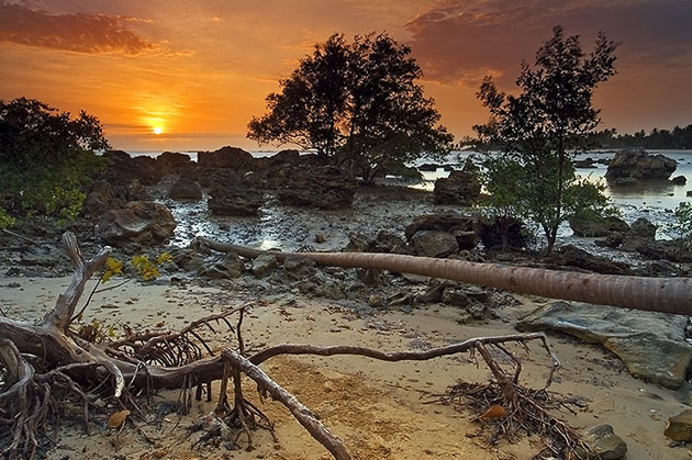 beach-sunrise-photography Beach Sunrise Photograph