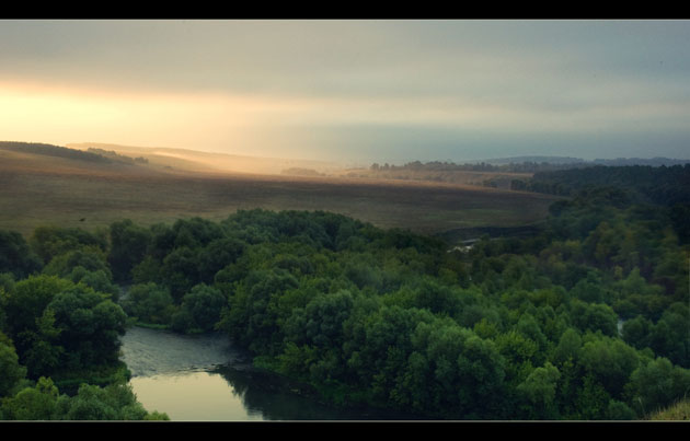 forest-sunrise forest sunrise photography