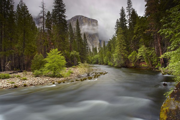 El Capitan Spring - Yosemite National Park, California HDR Waterscapes forest