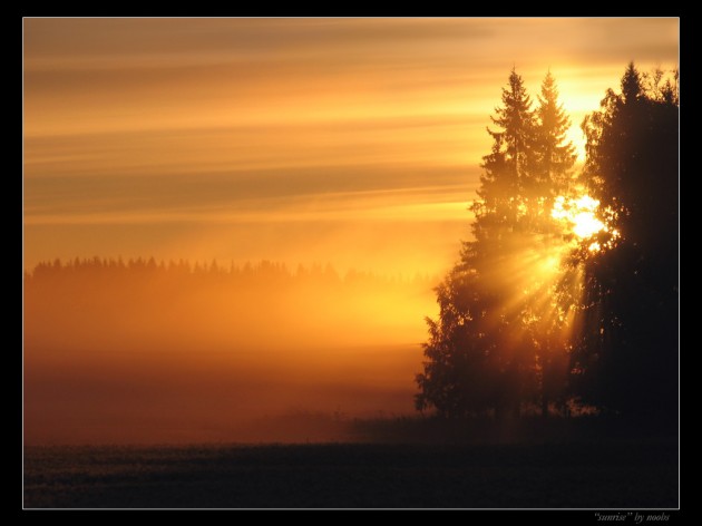 sunrise_by_noobs sunrise photography behind tree