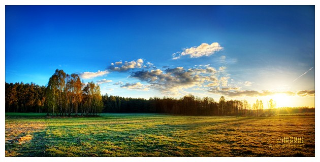 sweet sunrise sweet sunrise photography