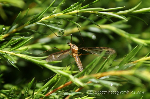 among water drops photography