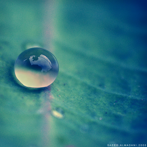 Beautiful Water Drops Macro Photography  Designzzz