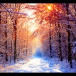 Most Beautiful Nature Photography