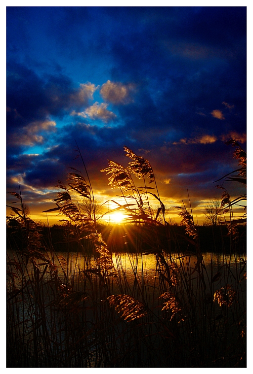 Golden sunset nature photography