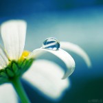 water drops photography