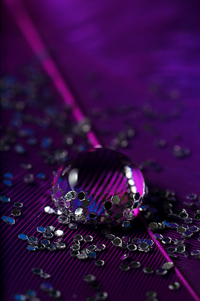 purple1 purple water drop photography
