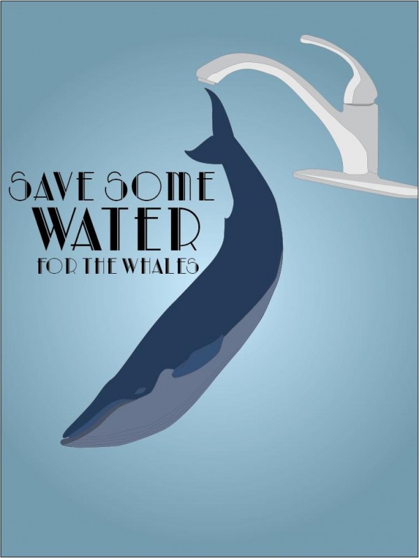save whale. save water save whale