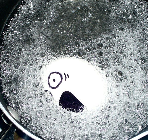 egg boil creative humor photography