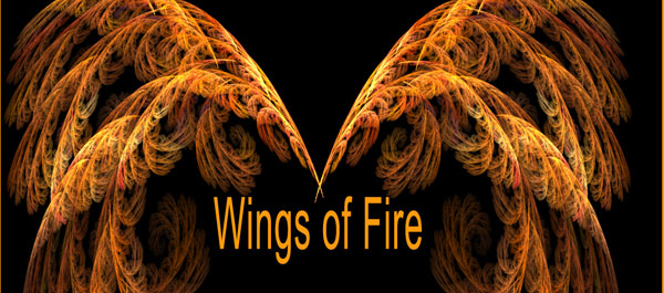 photoshop brushes wings. fire rushes photoshop wings