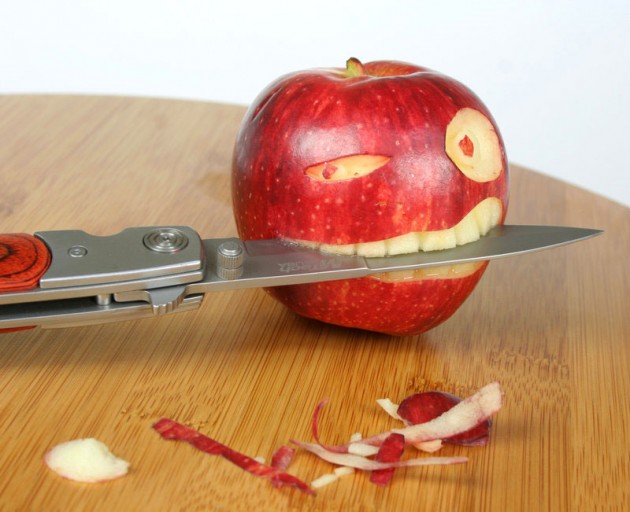 apple art humor photography