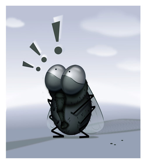 fly vector illustration