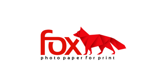 fox logo inspiration depth