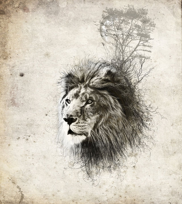 the king