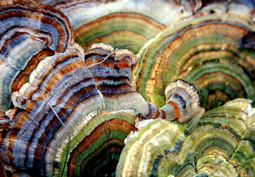 377409117_71a7b02a54