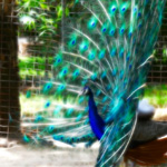 20 Superb Examples of Animal Fractal Art