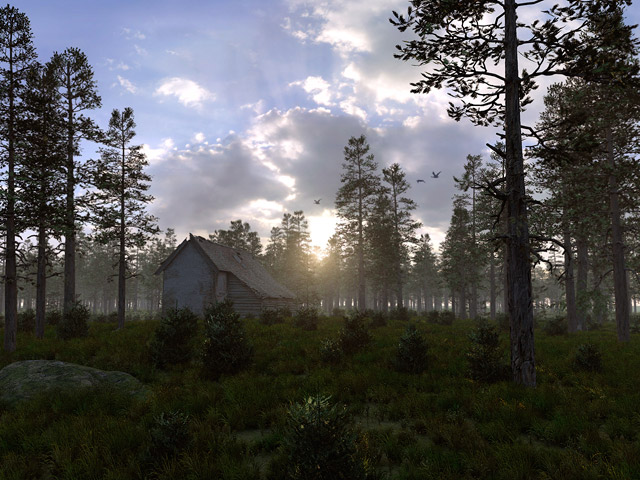 Forest house realistic 3d