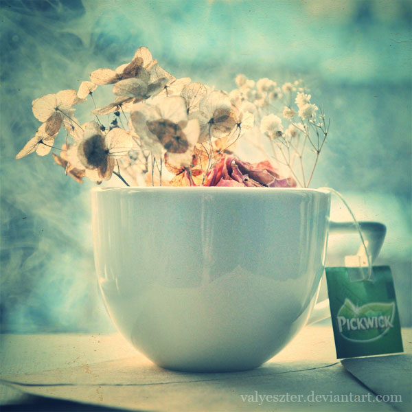 cup_of_flowers_by_valyeszter cup of flowers inspirational photography
