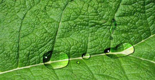 a51732sy rainy day animation using photoshop
