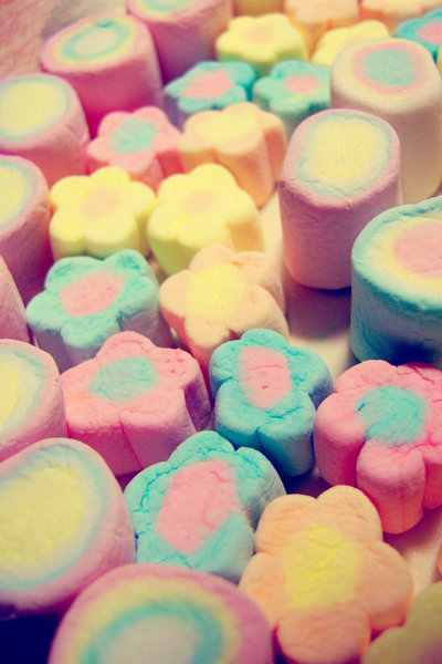 coloful marshmallows photography