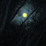 night photography