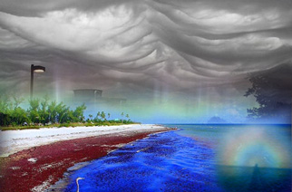 Photographic Collection of Natural Phenomenons