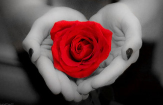 Beautiful Selective Color Photographs