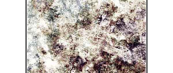 7 Grunge Brushes