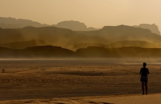 Exclusive Photography of Desert Life