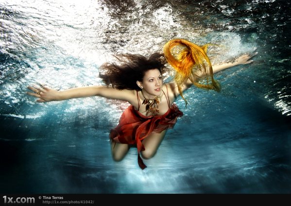 Free under water photography