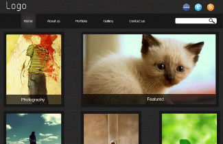 Free Premium Quality Web Gallery Template PSD