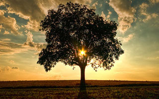 Breathtaking Examples of Nature Photography