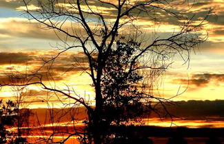 Refreshing Collection of Twilight Pictures and Photography Tips