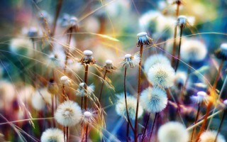 Captivating Color Captures – Photography Tips and Inspiration