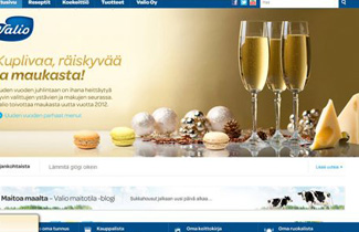 Valio – Made in Flash Website