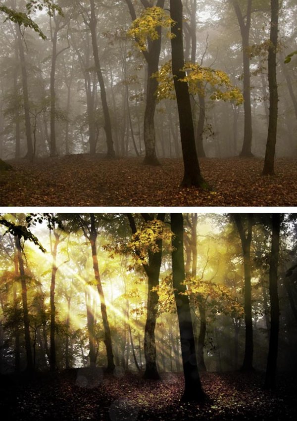 Create a Fantasy Forest Scene latest december 2011 tutorials for graphic designers of Adobe photoshop
