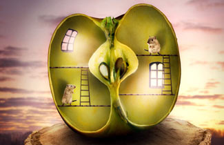Creating a Photo Manipulation of a Surreal Apple Habitat