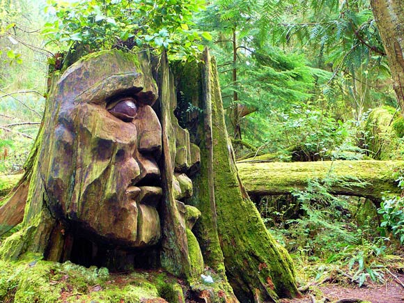 [عکس: 01-huge-face-carved-tree.jpg]