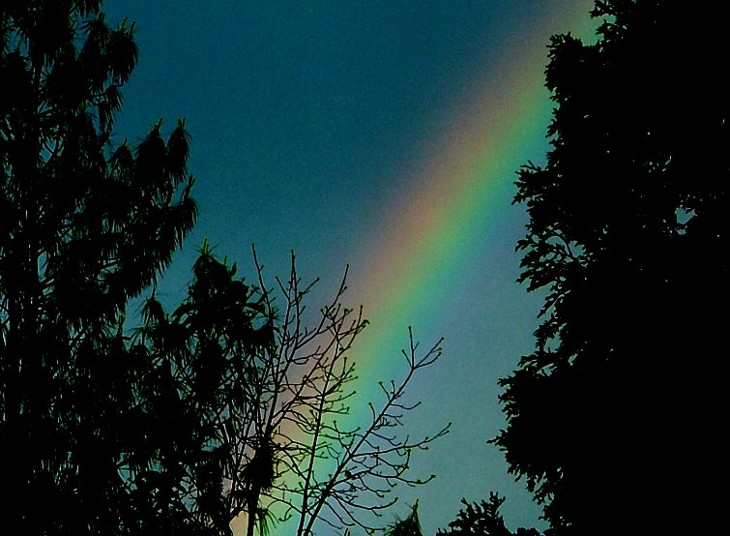 60 Beautiful Rainbow Pictures