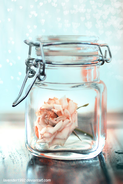 jar photography