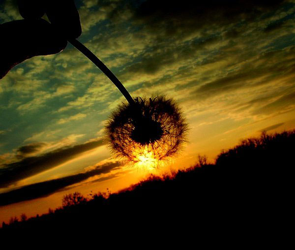 inspiring examples of sunset photography designzzz inspiring examples of sunset photography designzzz