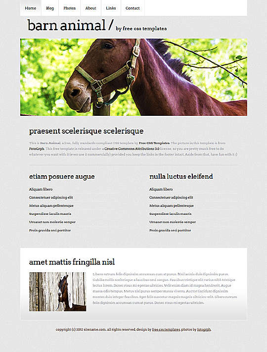 free animal business web template
