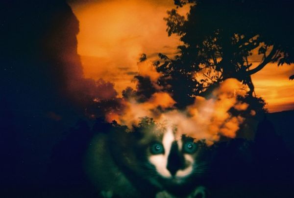 stunning lomography photography technique 
