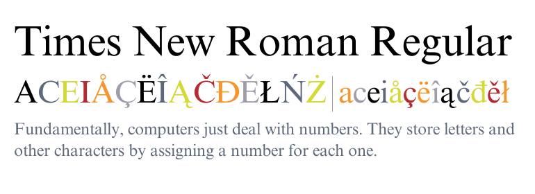 Times New Roman: one of the most common fonts out there. 