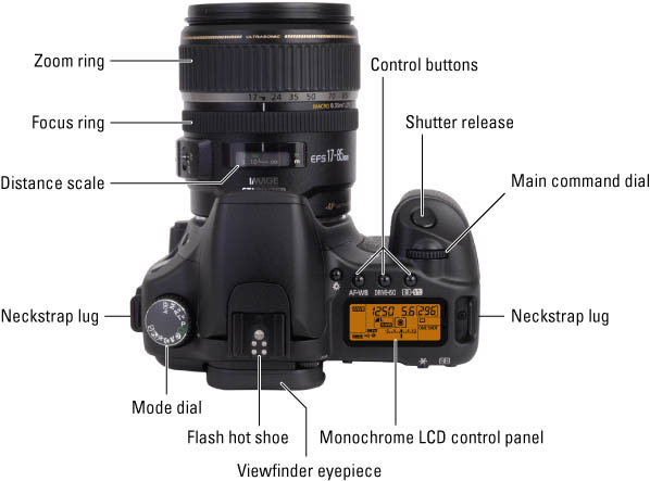 Digital SLR camera using guide for dummies. 